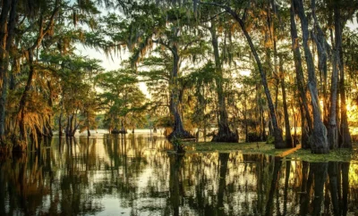 Live Like a Local on James Island: Hidden Gems, Marsh Views, and Fresh Seafood